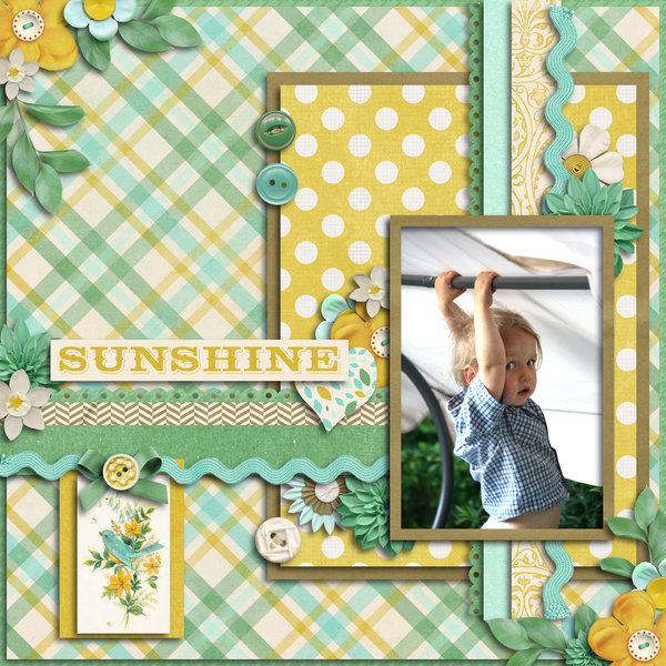 Sunshine