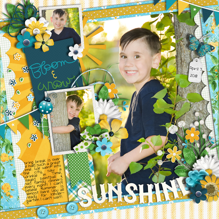 Sunshine