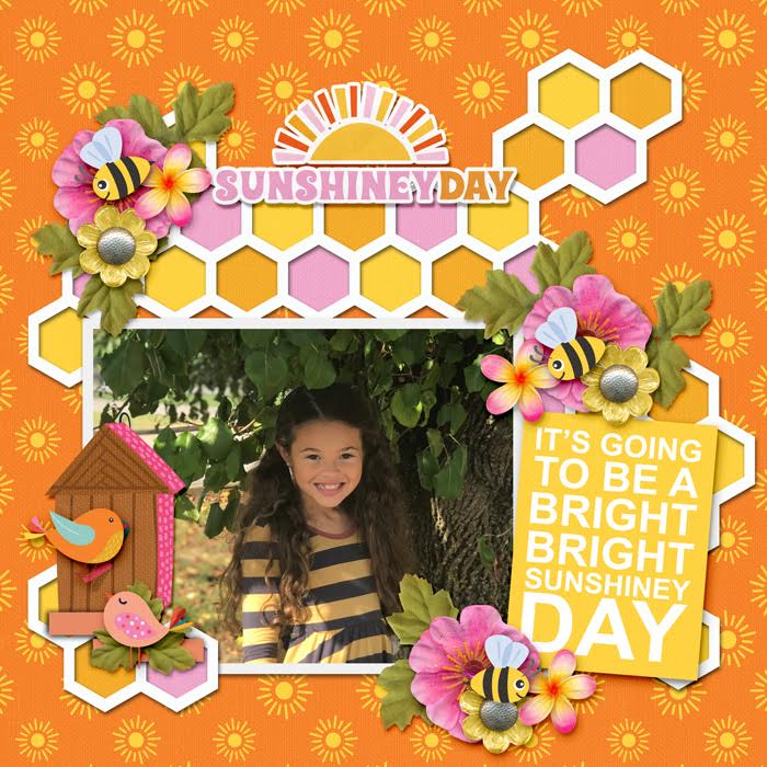 Sunshiney Day