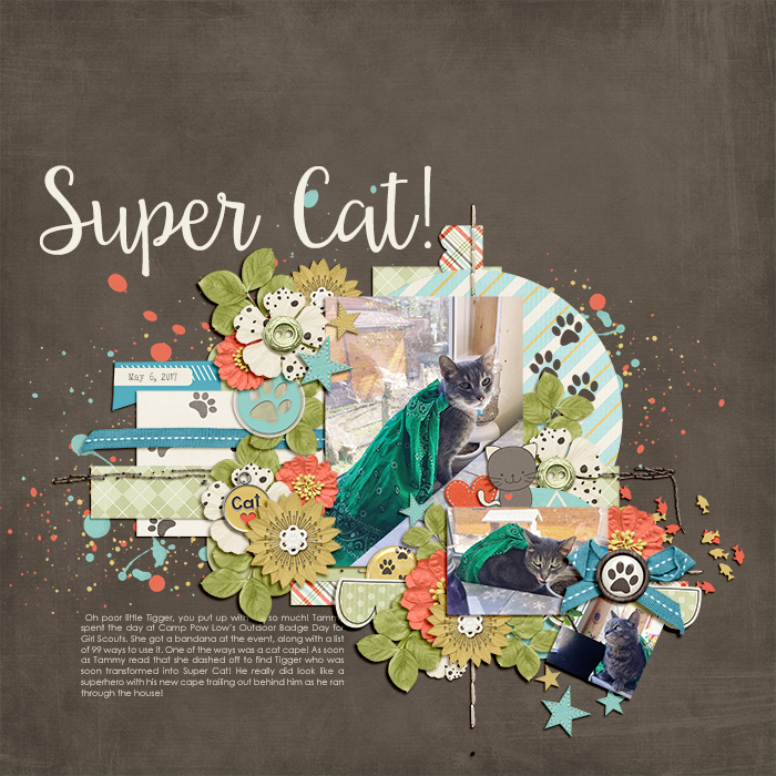 Super Cat