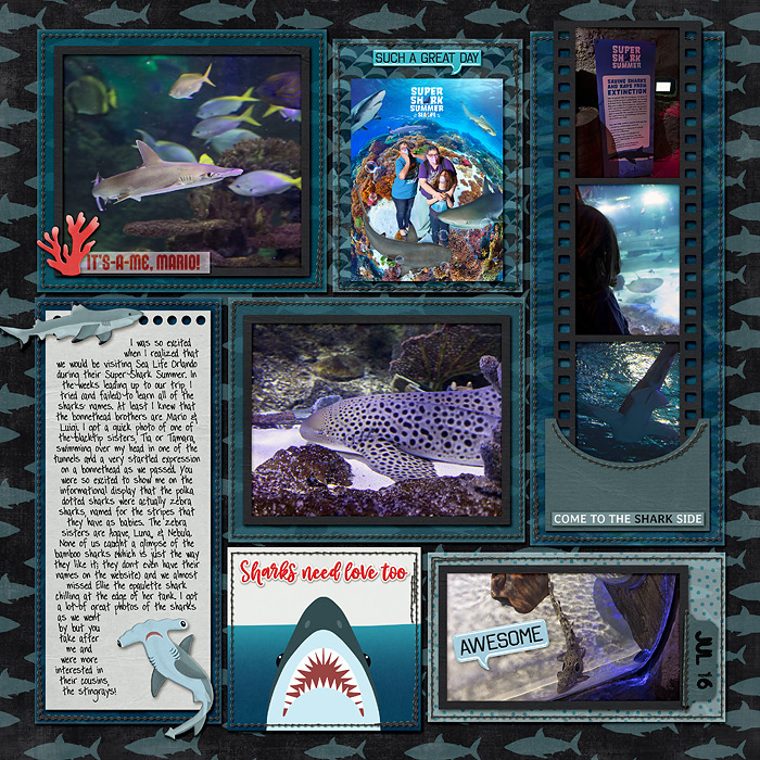 Super Shark Summer