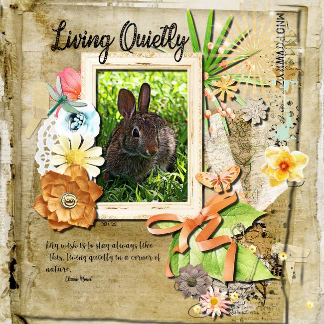 Surprise  Bunnies, butterflies or bees