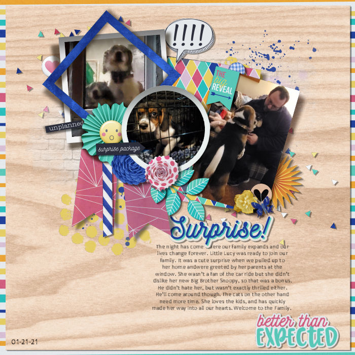 Surprise!!