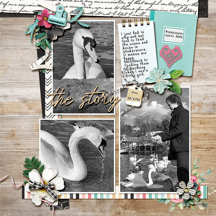 Swans