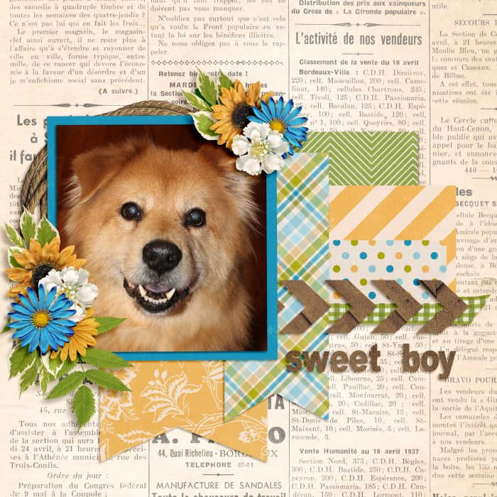 Sweet Boy