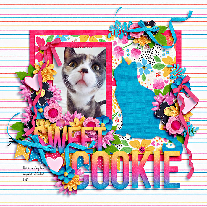 Sweet Cookie