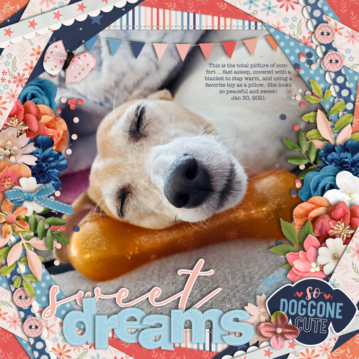 Sweet Dreams