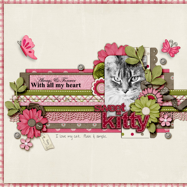 Sweet Kitty