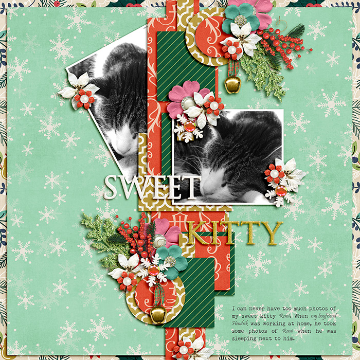 Sweet Kitty
