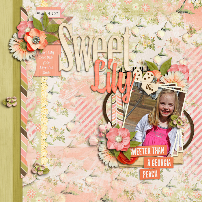 Sweet Lily