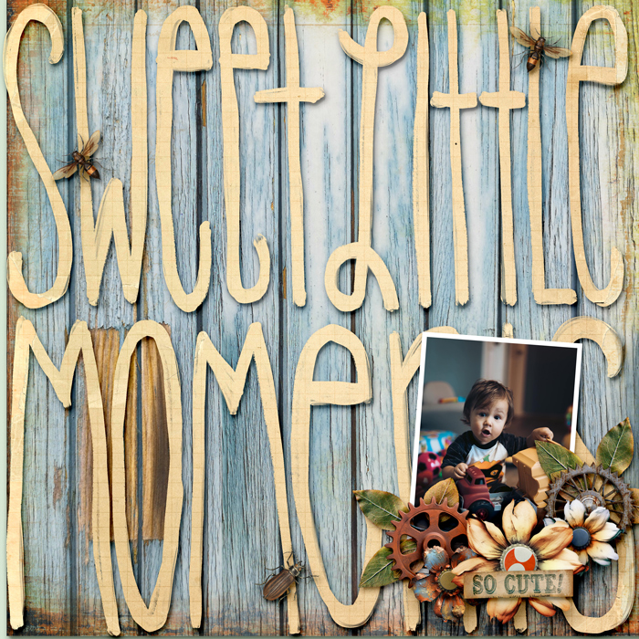 Sweet Little Moments