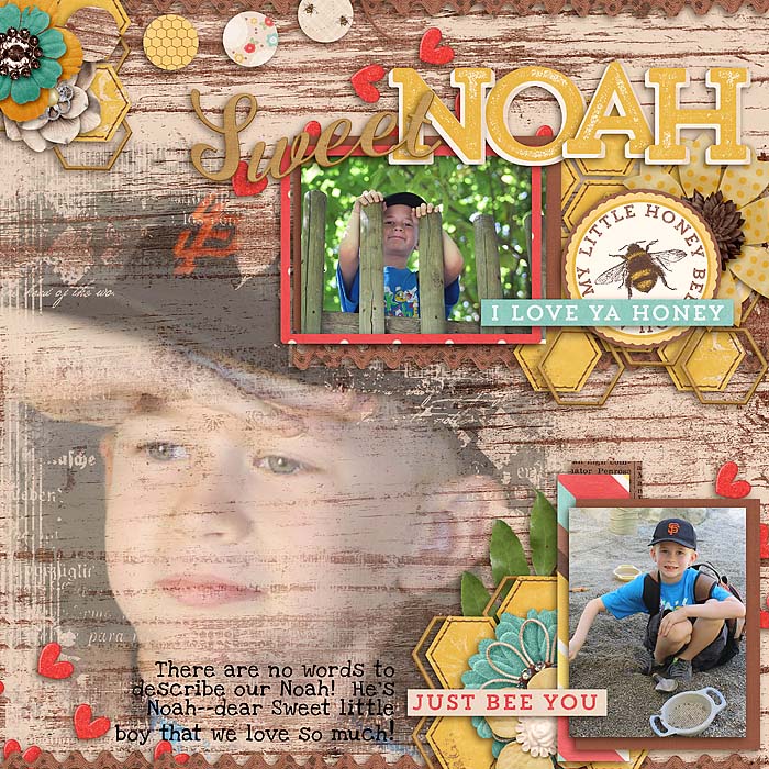 Sweet Noah