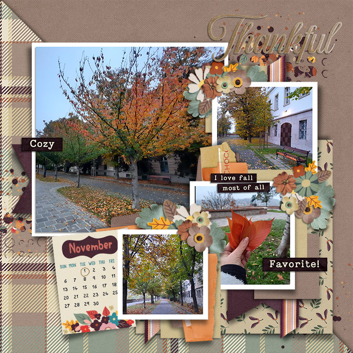 Sweet November