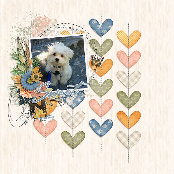Sweet Puppy