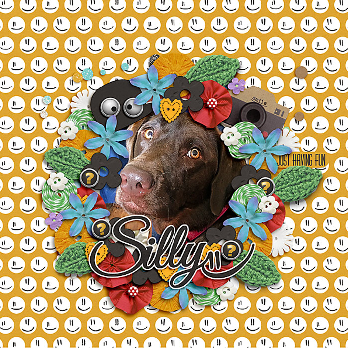 Sweet, Sassy & Silly