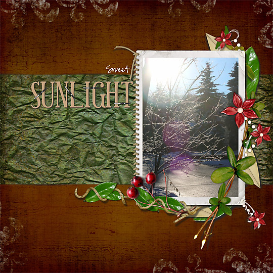 Sweet Sunlight