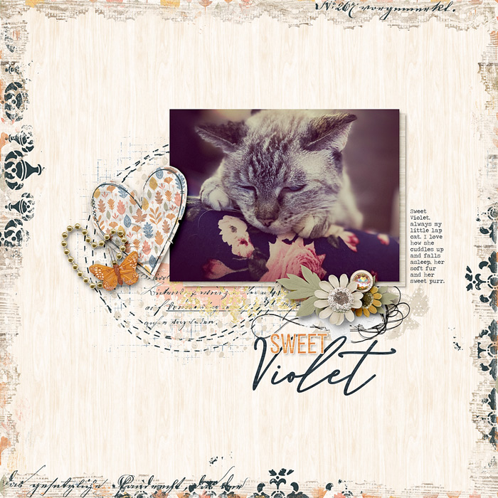 Sweet Violet