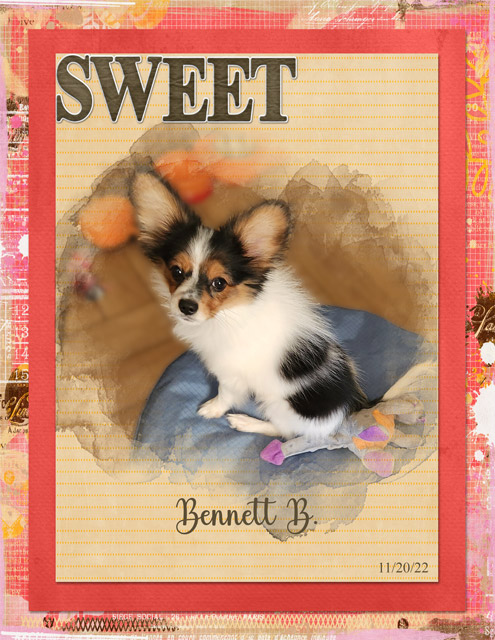 Sweet