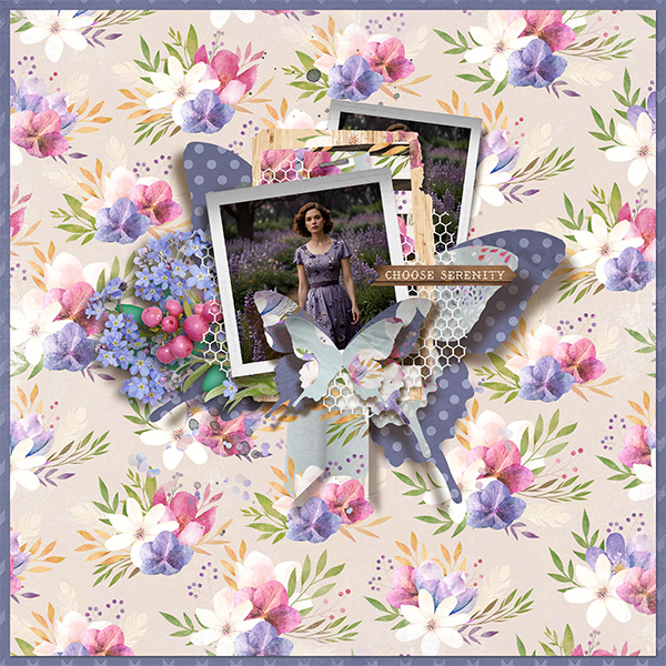 sweet_shoppe_2025_07_provence