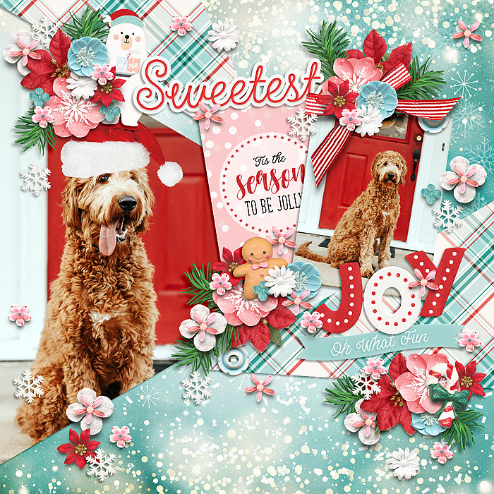 Sweetest Dog