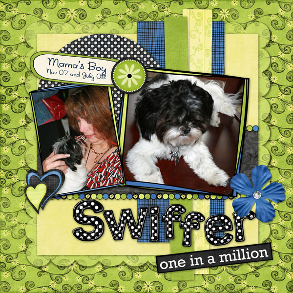 Swiffer