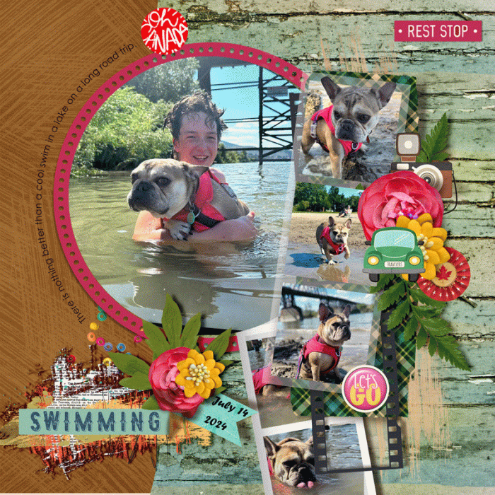 Swimming Stella
