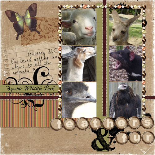 symbio animals