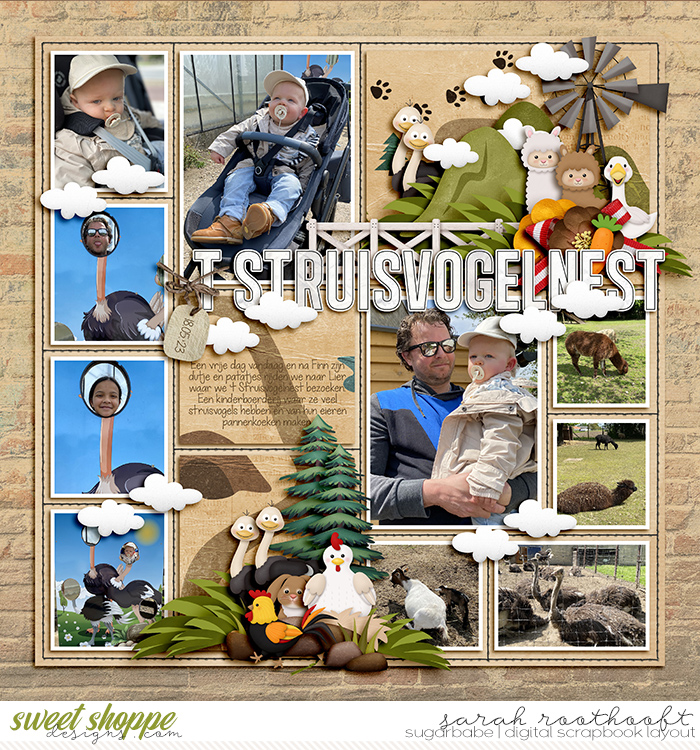 t Struisvogelnest