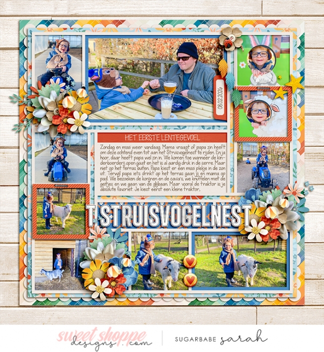 t Struisvogelnest