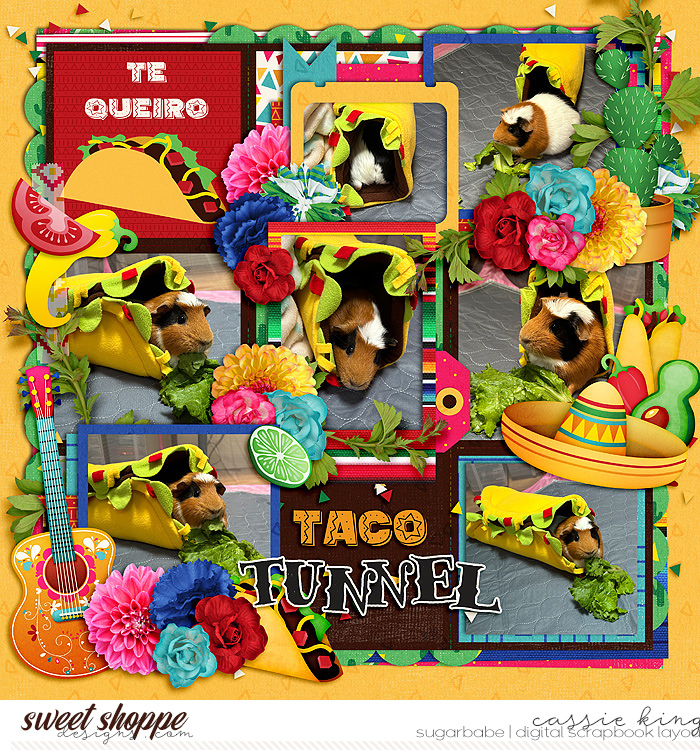 Taco Tunnel