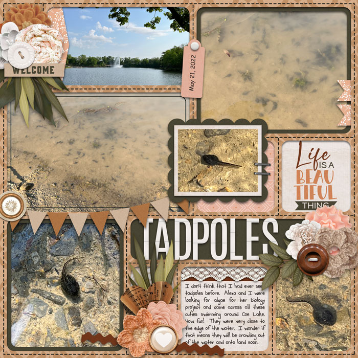 Tadpoles