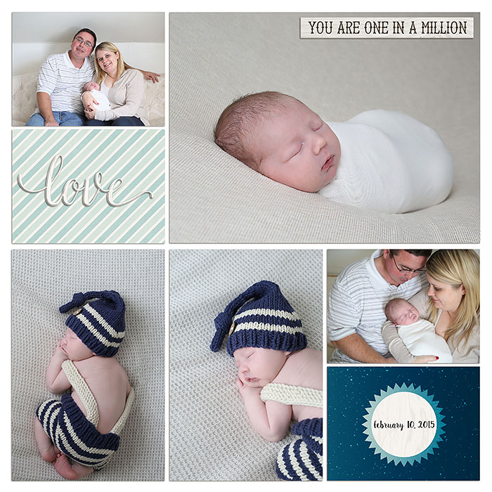 Teddy Newborn Pictures (right)