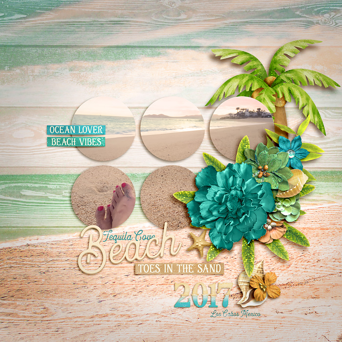 Tequila Cove Beach