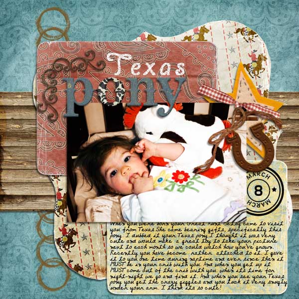 Texas Pony