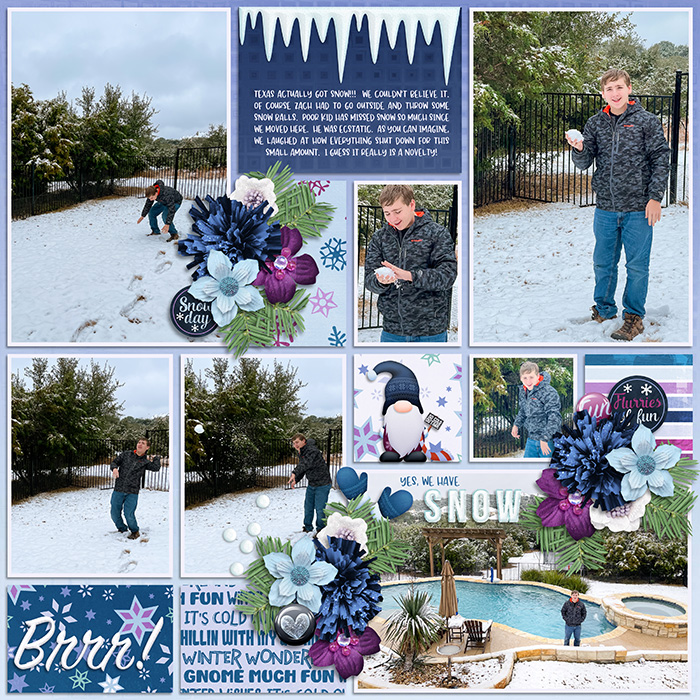 Texas Snow