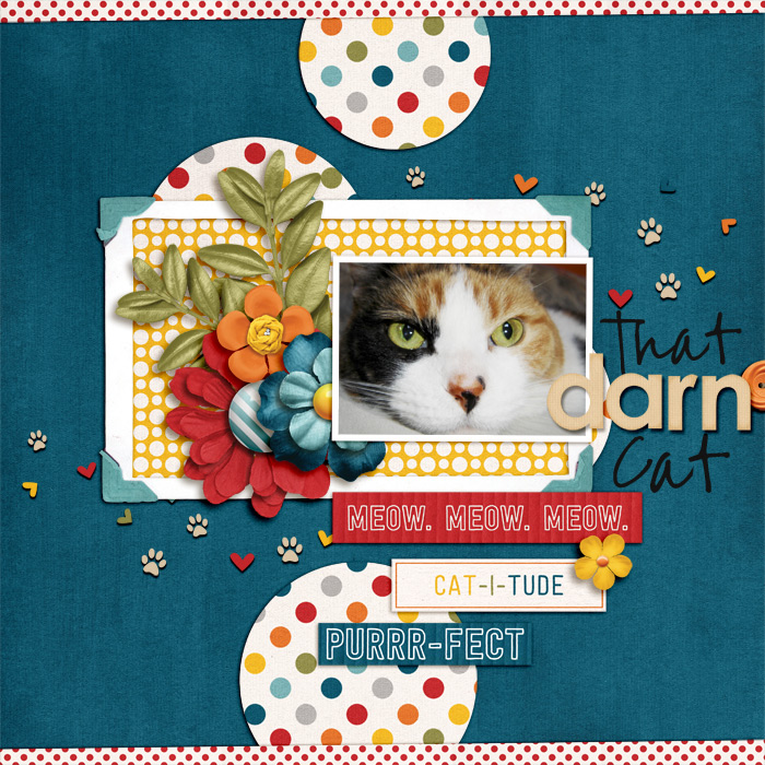 That Darn Cat