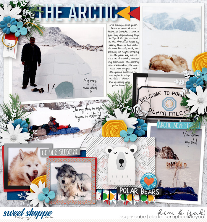 The Arctic