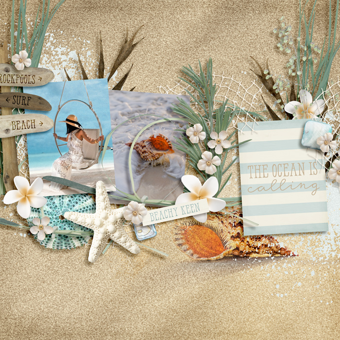 The Beach is Calling