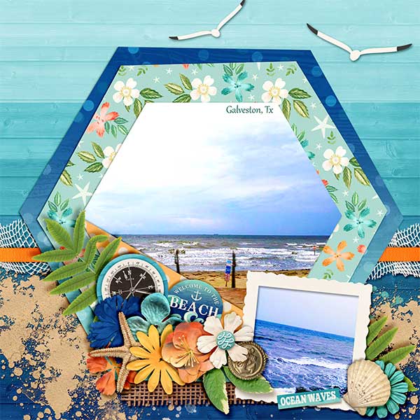 the beach