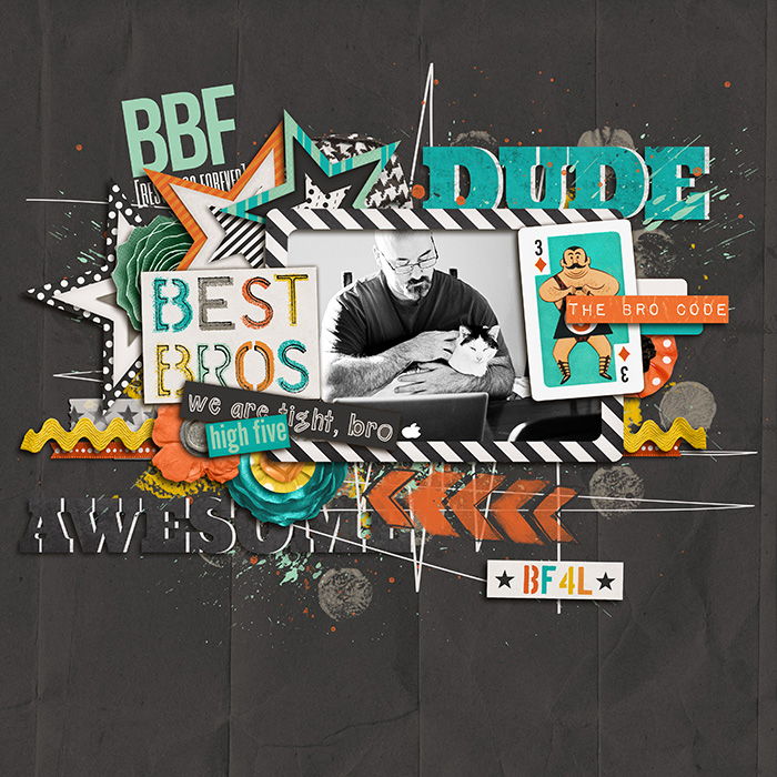 The Bro Code