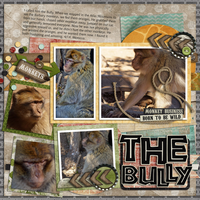 The Bully