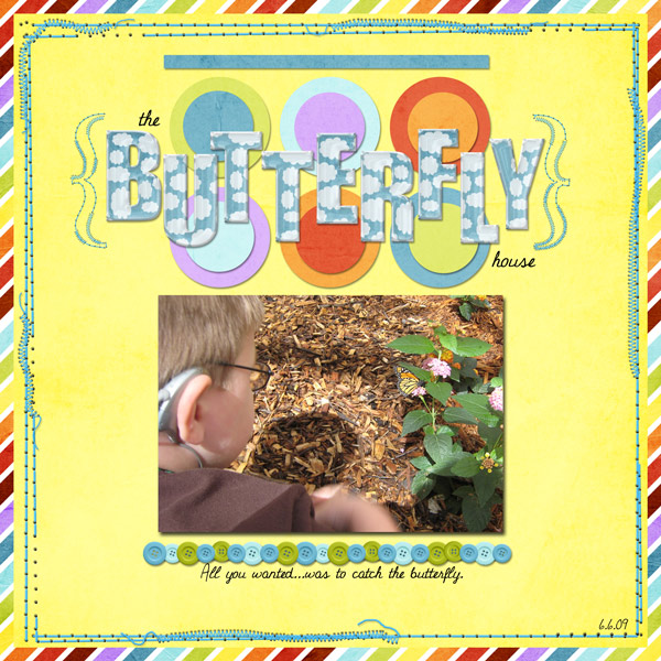 The Butterfly House