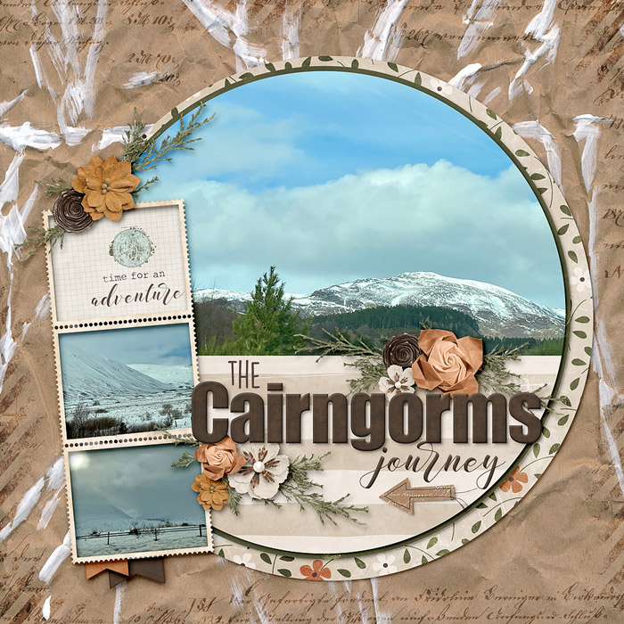 ~The Cairngorms~