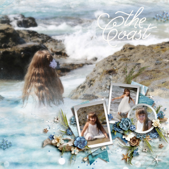 The Coast