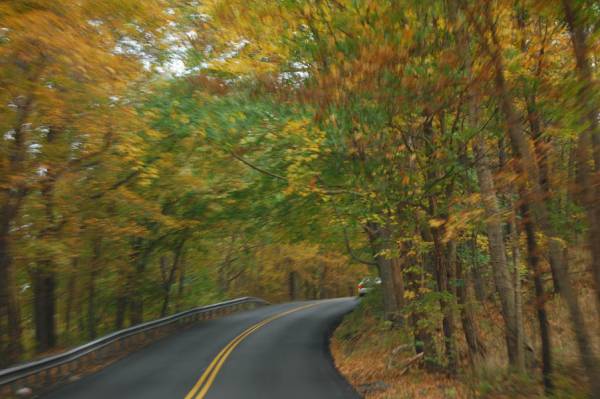 The drive home - Shutterbug #31