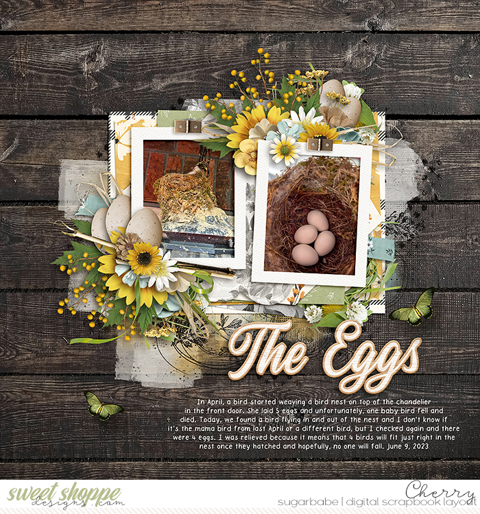 The Eggs