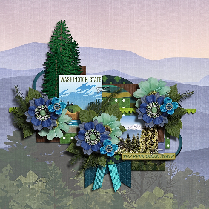 The evergreen state