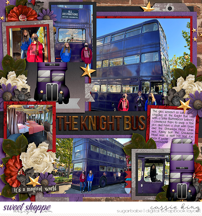 The Knight Bus