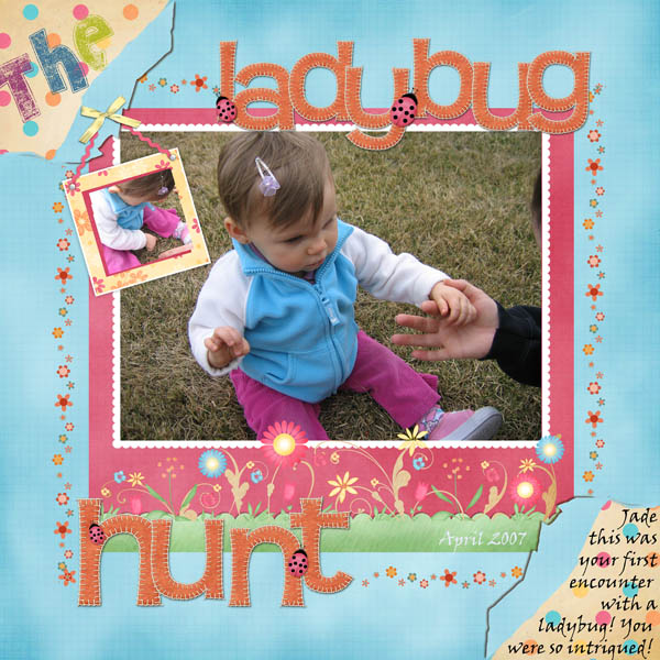 the ladybug hunt!