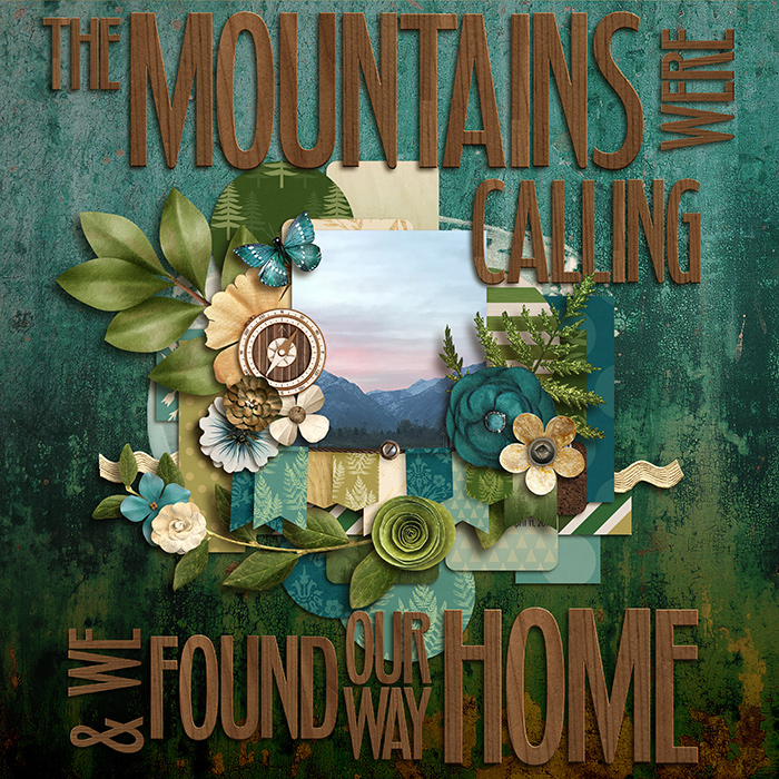 The Mountains Called